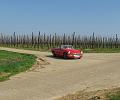 MG Openingsrit op 25-3-2012 (164)